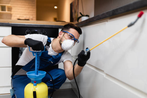 Reliable Labadieville, LA Pest Control Solutions