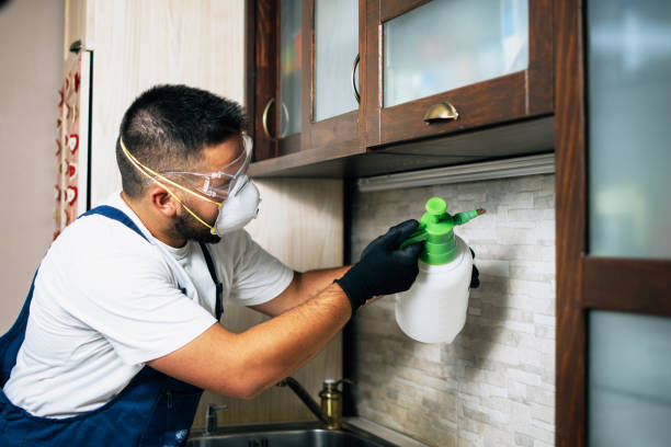 Insect Control in Labadieville, LA