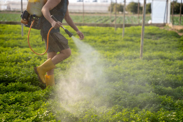 Best Pest Control for Restaurants  in Badieville, LA
