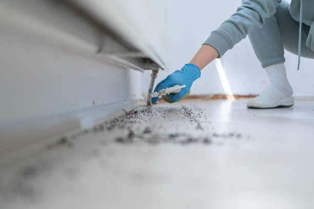 Best Wildlife Control Services  in Badieville, LA